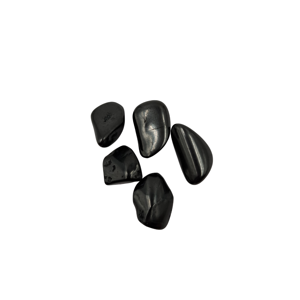 Shunguita 1 Bolsa de 10 gr con 5 piezas Shunguita Tamborileada chica