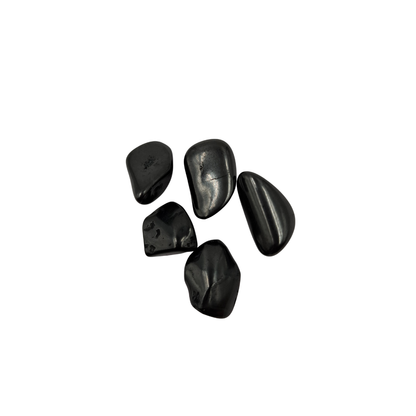 Shunguita 1 Bolsa de 10 gr con 5 piezas Shunguita Tamborileada chica