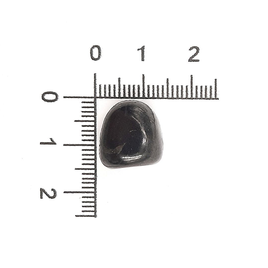 Shunguita 1 Bolsa de 10 gr con 5 piezas Shunguita Tamborileada chica