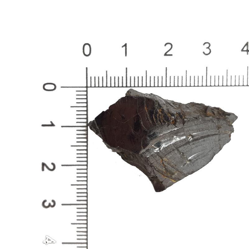 Shunguita"Shungite Elite"  Piedra Maravilla Sanación Protección