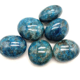 Apatito Azul "Palm Stone" Piedra calmante. Intelecto - Caleidoscopio
