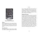 Ángeles y Ancestros Libro y Cartas en Español Kyle Gray