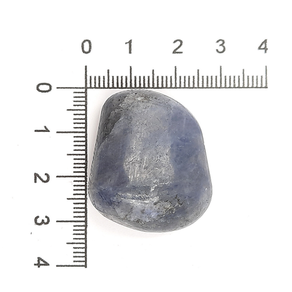 Iolita Tamborileada