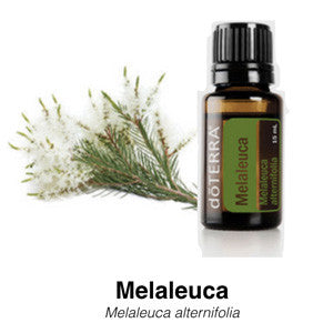 Tea Tree / Melaleuca Aceite esencial doTERRA 15 ml - Caleidoscopio